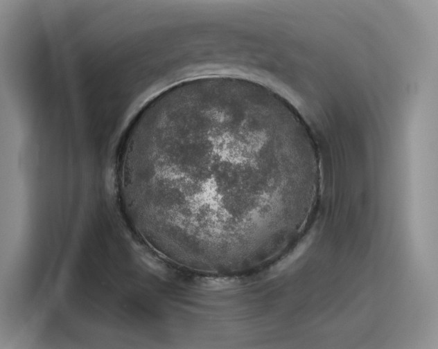 X0000115401501200911101502