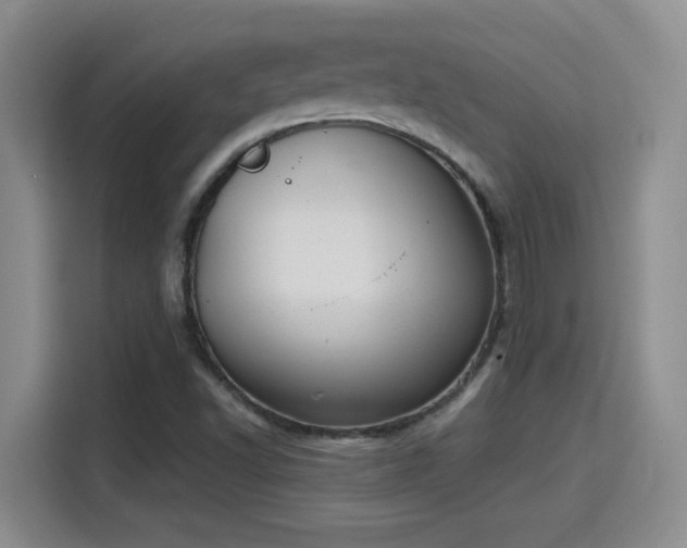 X0000115401502200911101502