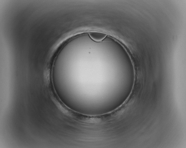 X0000115401503200911101502