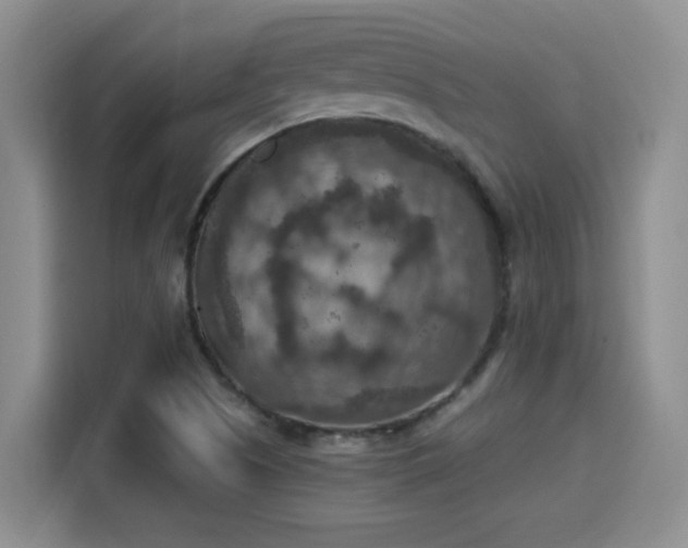 X0000115401505200911101502