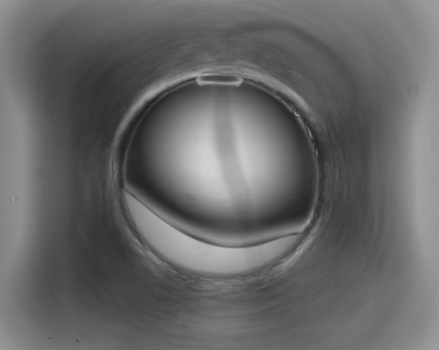 X0000115401506200911101502