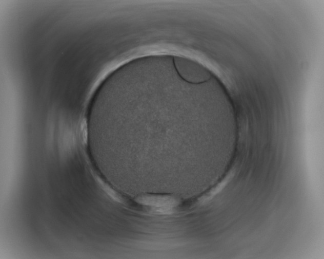 X0000115401509200911101502