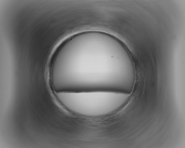 X0000115401511200911101502