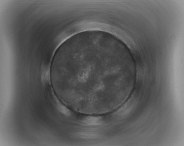 X0000115401513200911101502