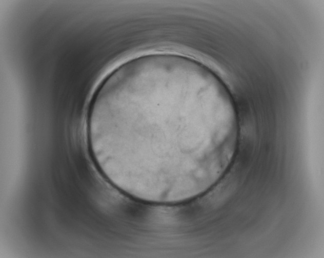 X0000115401514200911101502