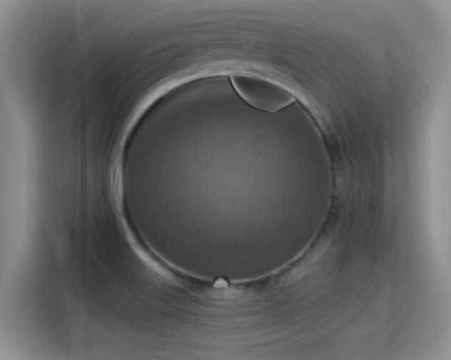 X0000115401515200911101502