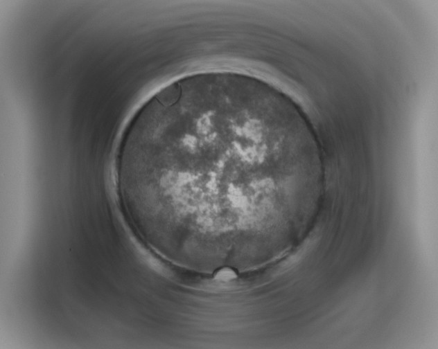 X0000115401517200911101502