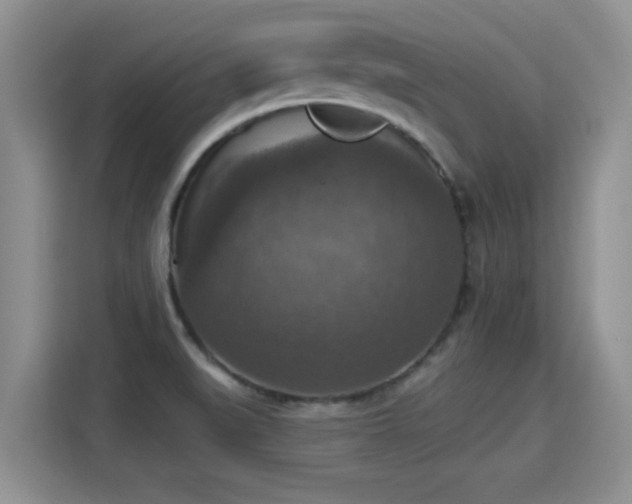 X0000115401519200911101502