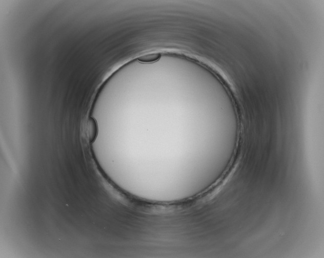 X0000115401521200911101502