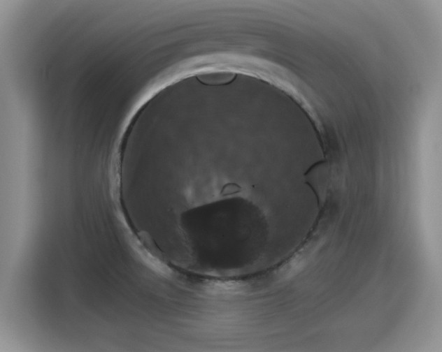 X0000115401522200911101502
