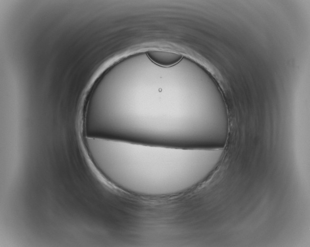 X0000115401523200911101502