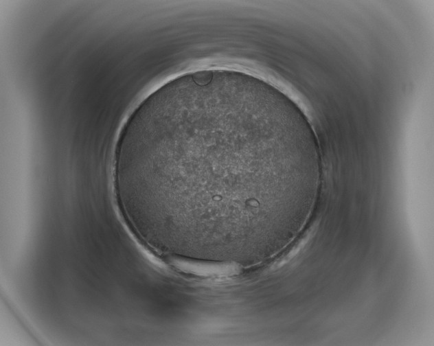 X0000115401525200911101502