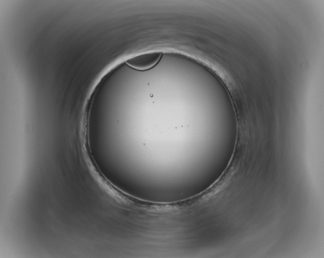 X0000115401526200911101502
