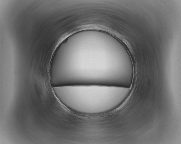 X0000115401529200911101502