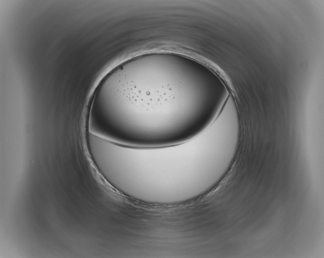 X0000115401530200911101502