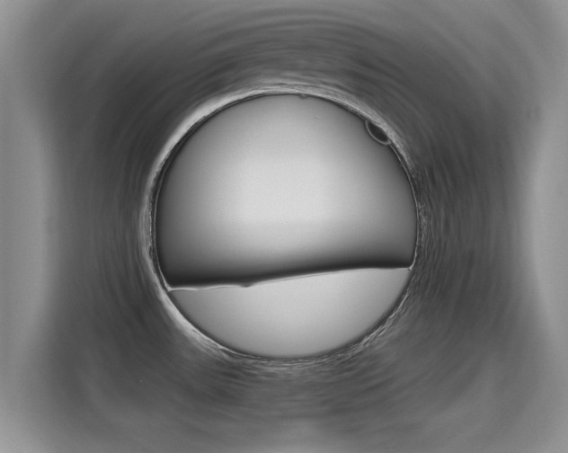 X0000115401531200911101502