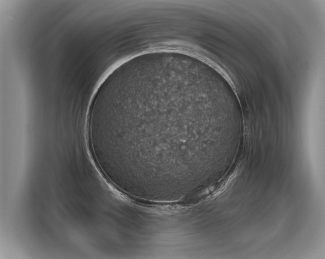 X0000115401533200911101502