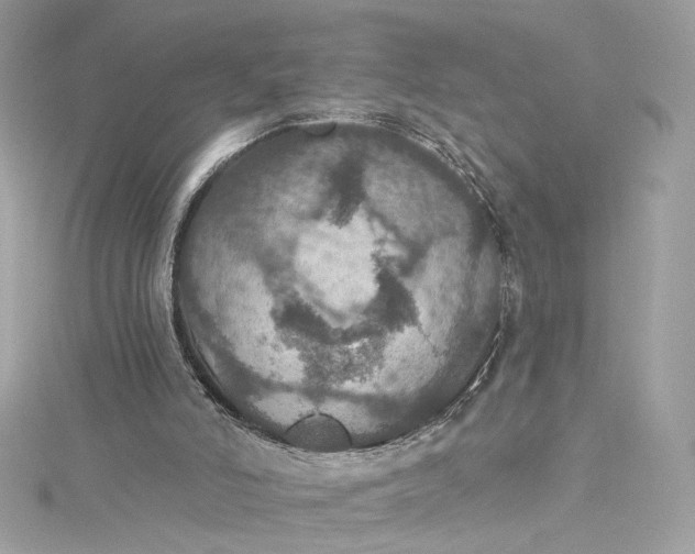 X0000115400006200911171527