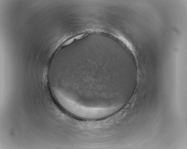 X0000115400009200911171527