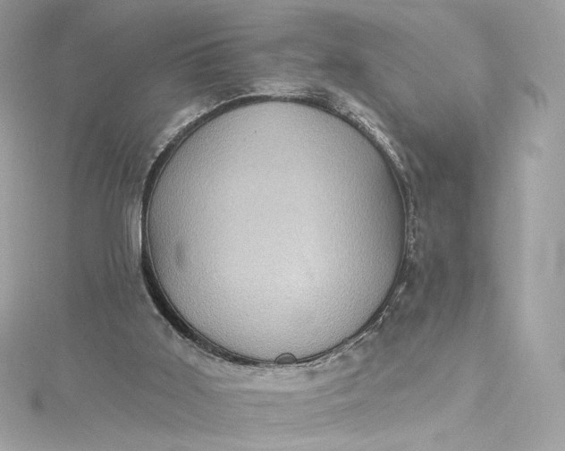 X0000115400011200911171527
