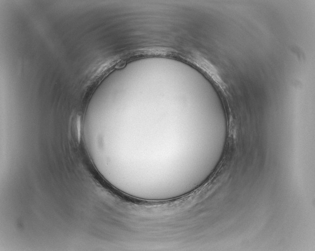 X0000115400013200911171527