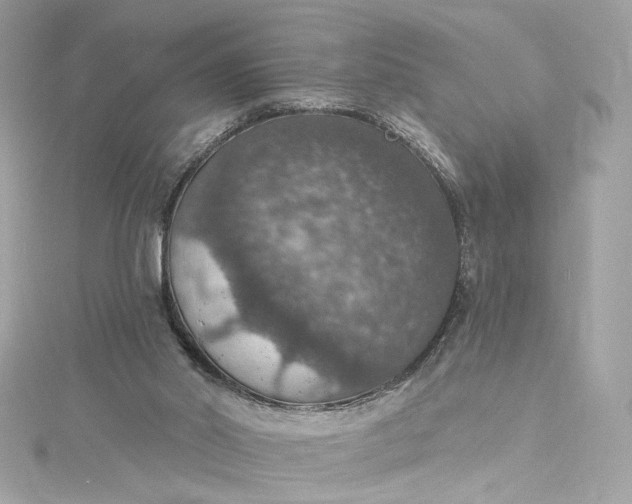 X0000115400014200911171527