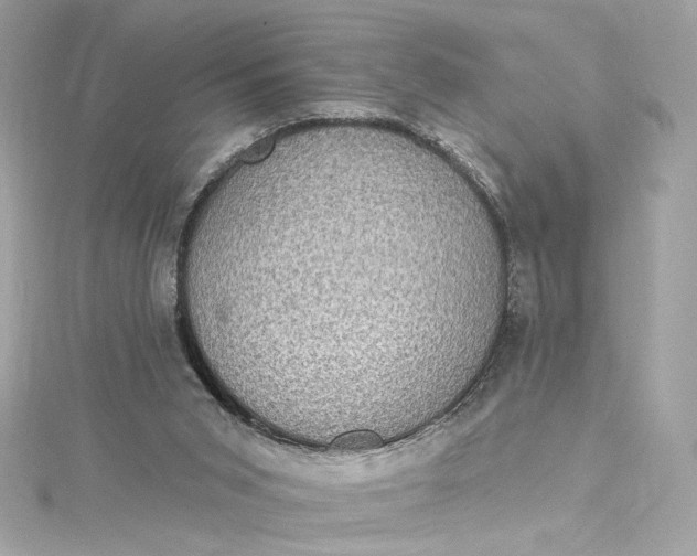 X0000115400015200911171527