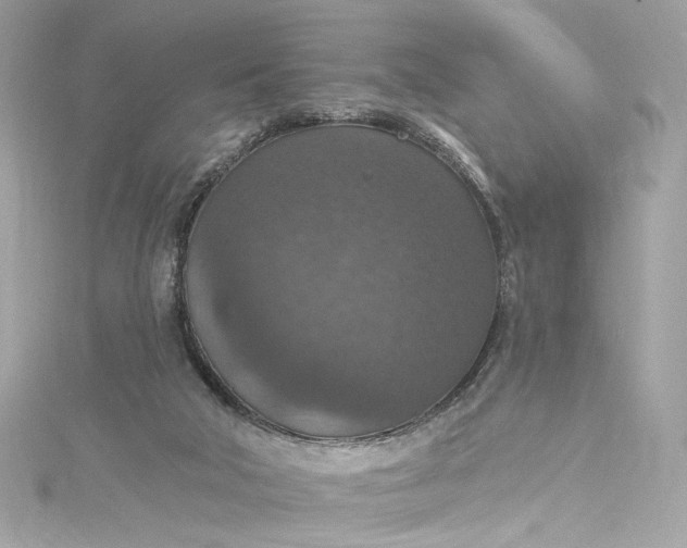 X0000115400018200911171527