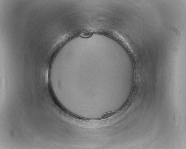 X0000115400019200911171527