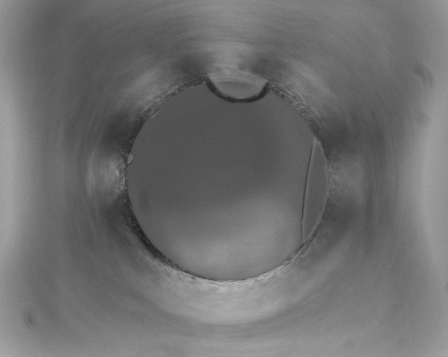 X0000115400043200911171527