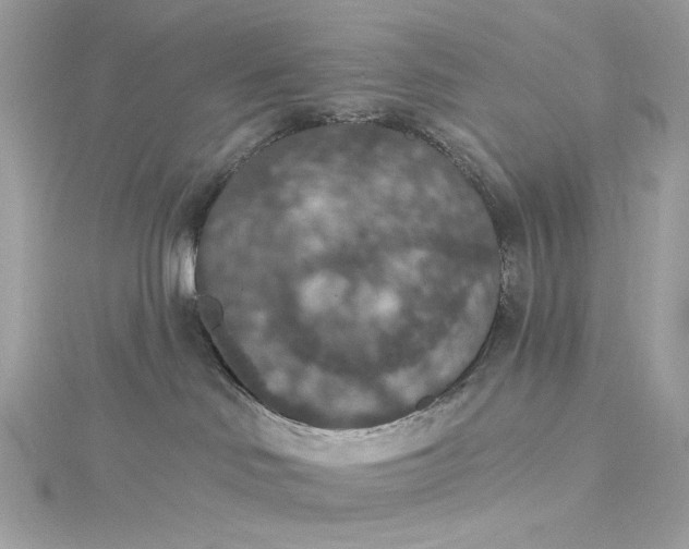 X0000115400046200911171527