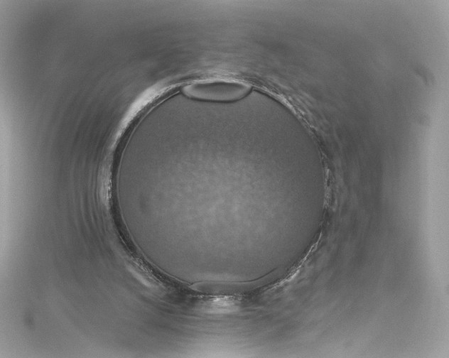 X0000115400056200911171526
