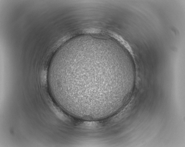 X0000115400057200911171526