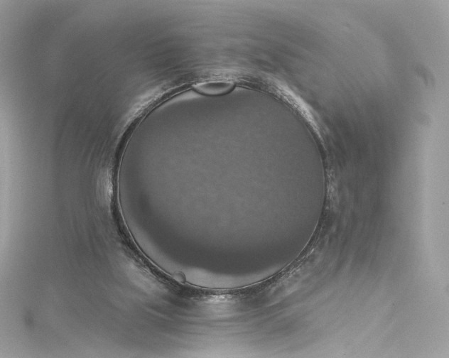 X0000115400059200911171526