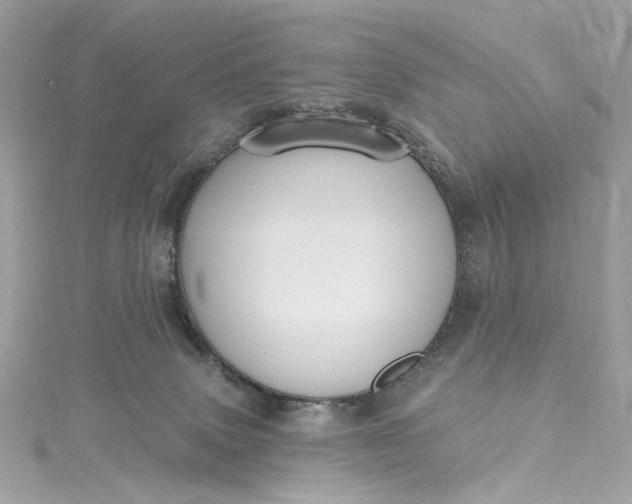 X0000115400083200911171526