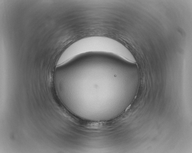 X0000115400084200911171526