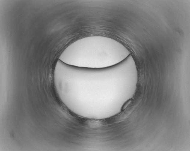 X0000115400085200911171526