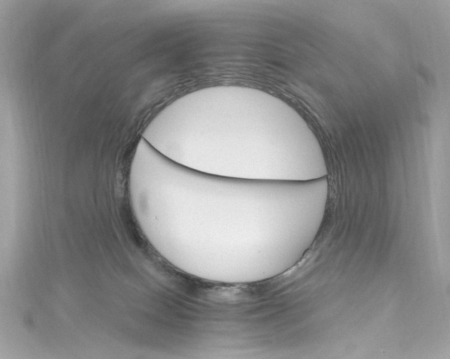 X0000115400086200911171526
