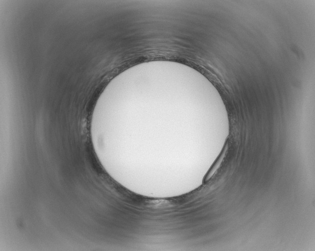 X0000115400087200911171526