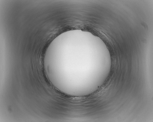 X0000115400088200911171526
