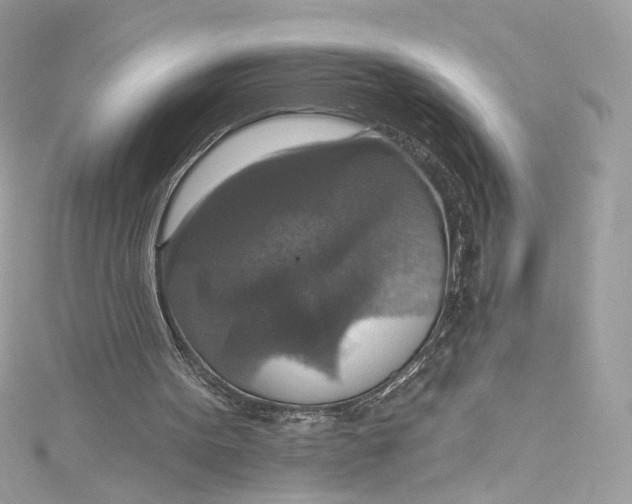 X0000115400099200911171526