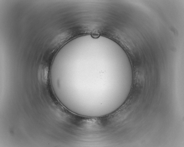 X0000115400118200911171525