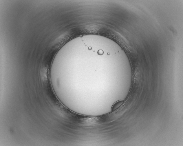 X0000115400122200911171525