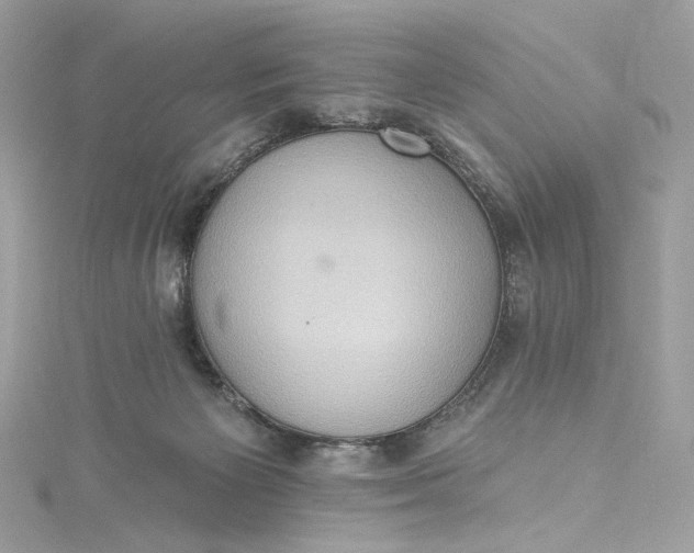 X0000115400125200911171525