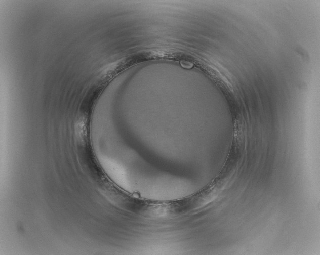 X0000115400127200911171525