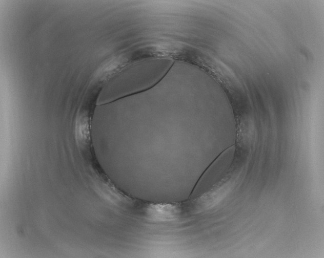 X0000115400137200911171525