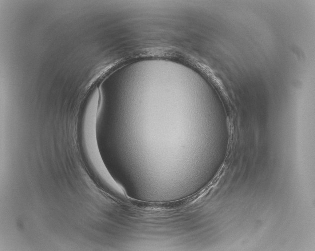 X0000115400154200911171525