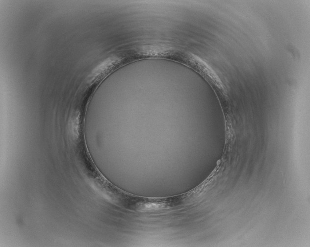X0000115400163200911171525