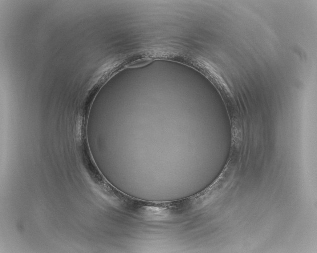 X0000115400167200911171525