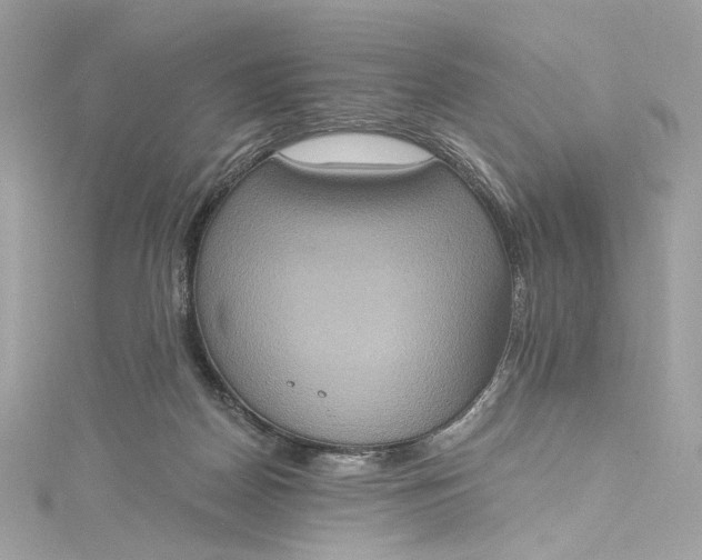 X0000115400170200911171525